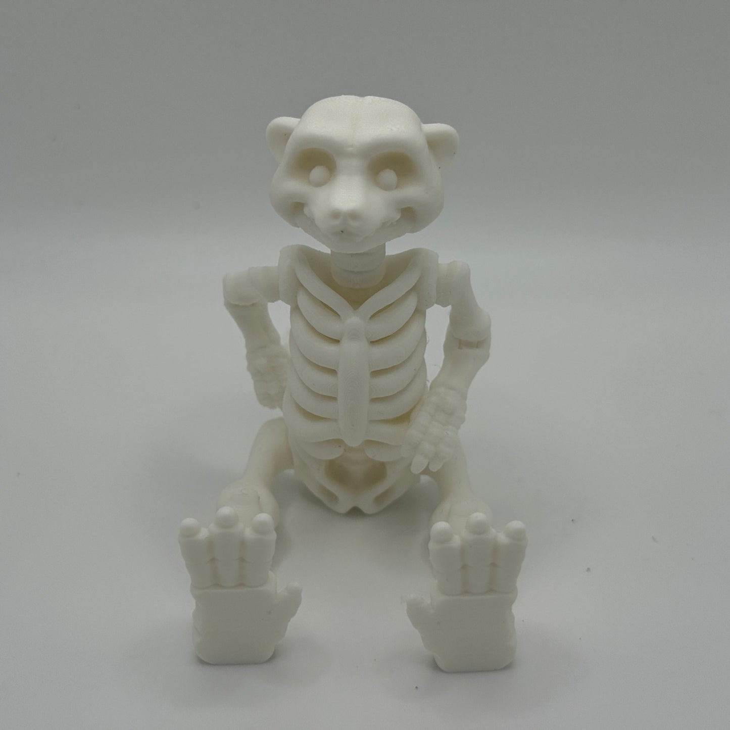 White meerkat skeleton model on a gray background