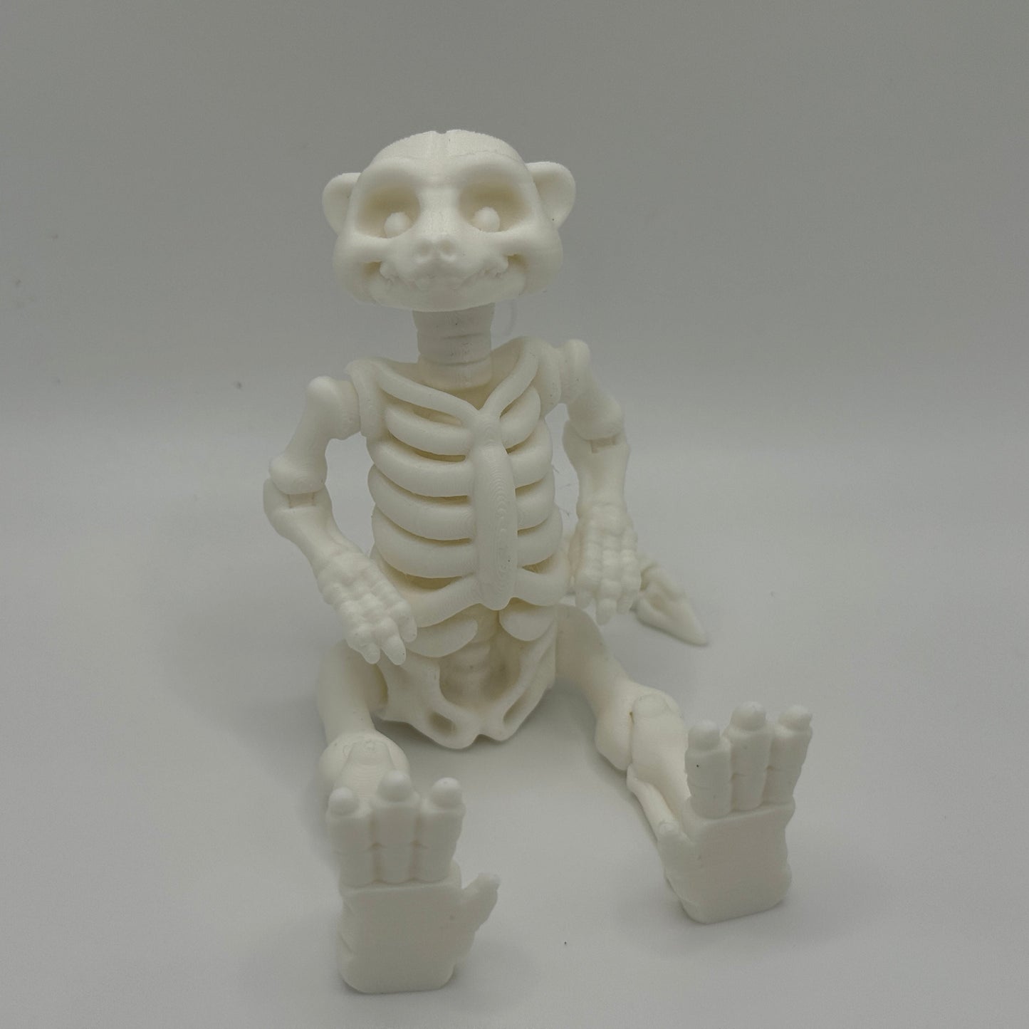 White meerkat skeleton model on a gray background