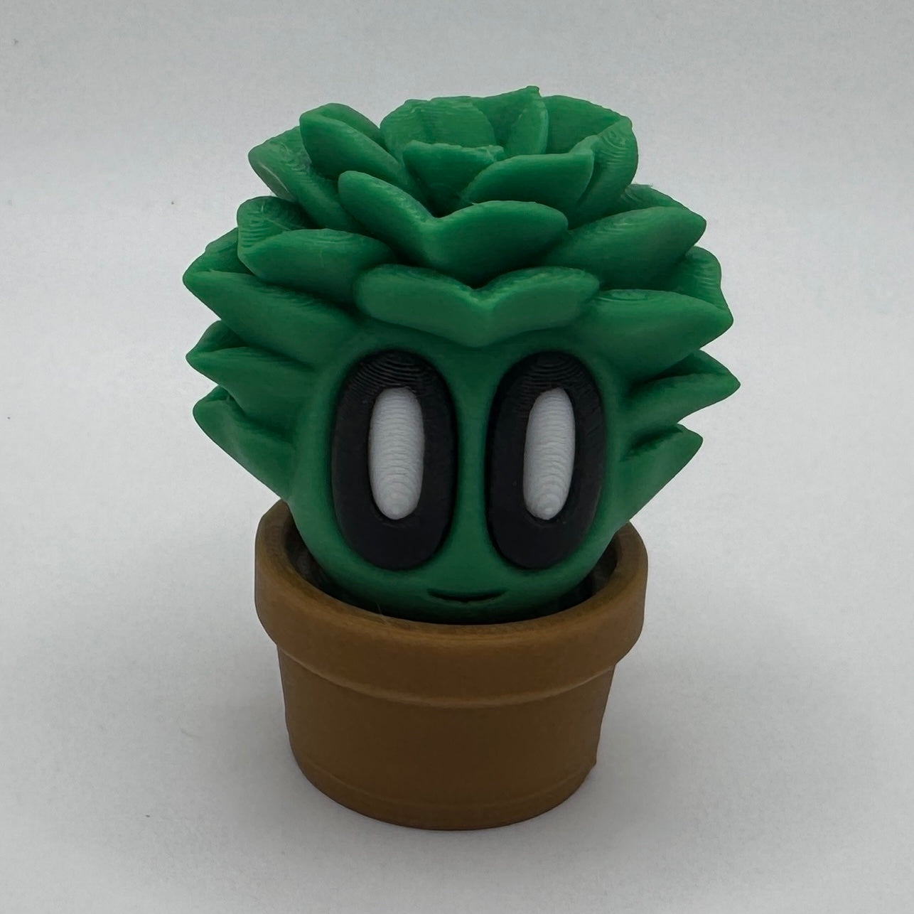Adorable Collectible Plant Buddies โ Choose Individual or Full Set