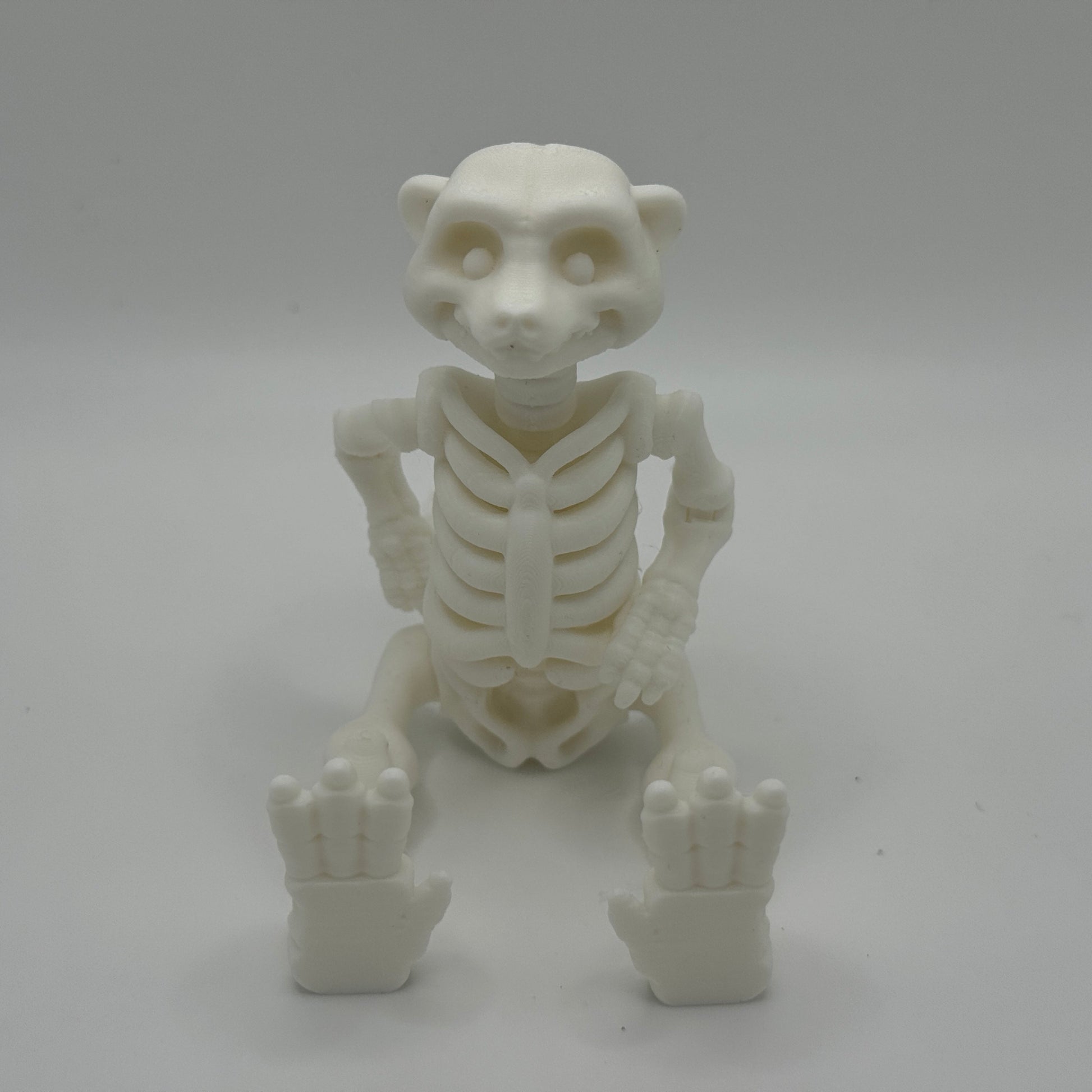 White meerkat skeleton model on a gray background